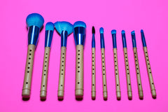 MICROPHONE BRUSH SET