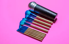 MICROPHONE BRUSH SET