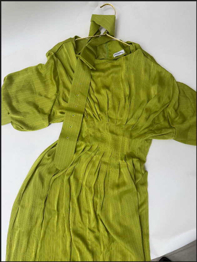 Olive Aura Belted Dress