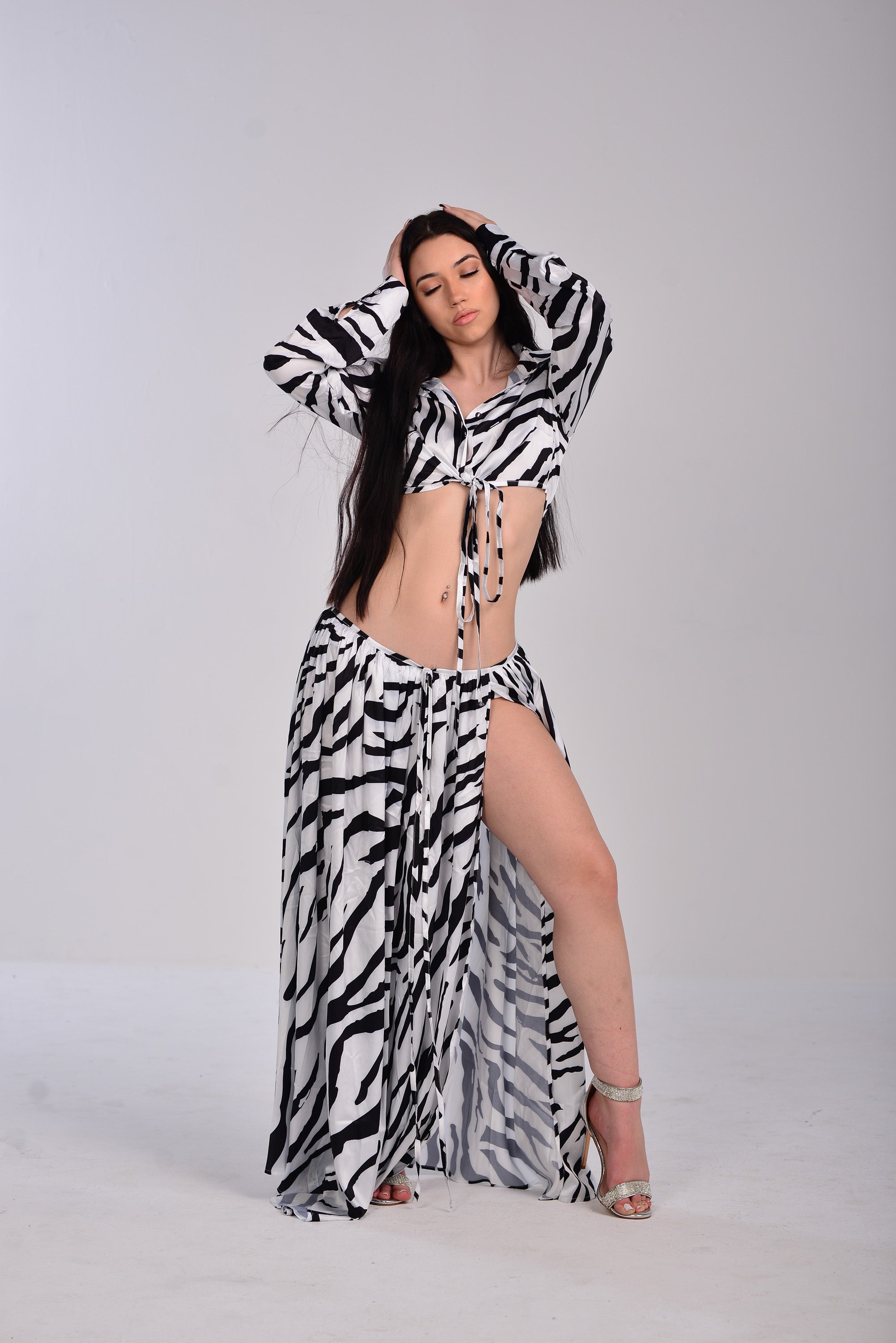 ZEBRA SET