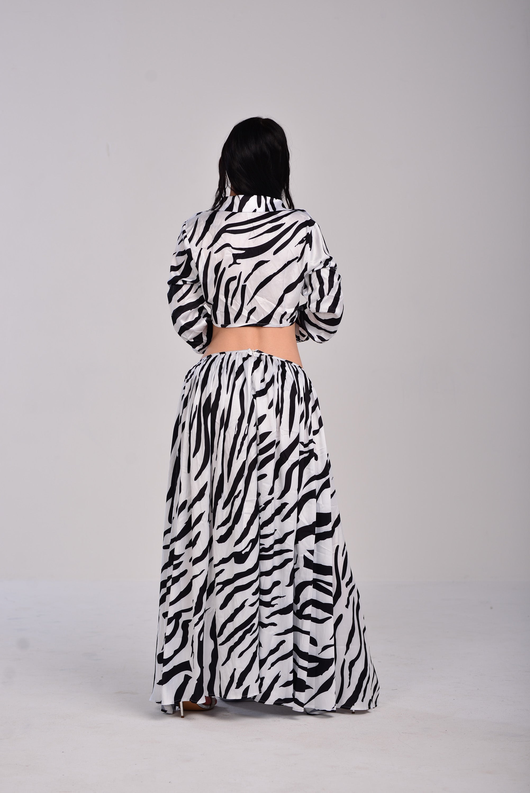 ZEBRA SET