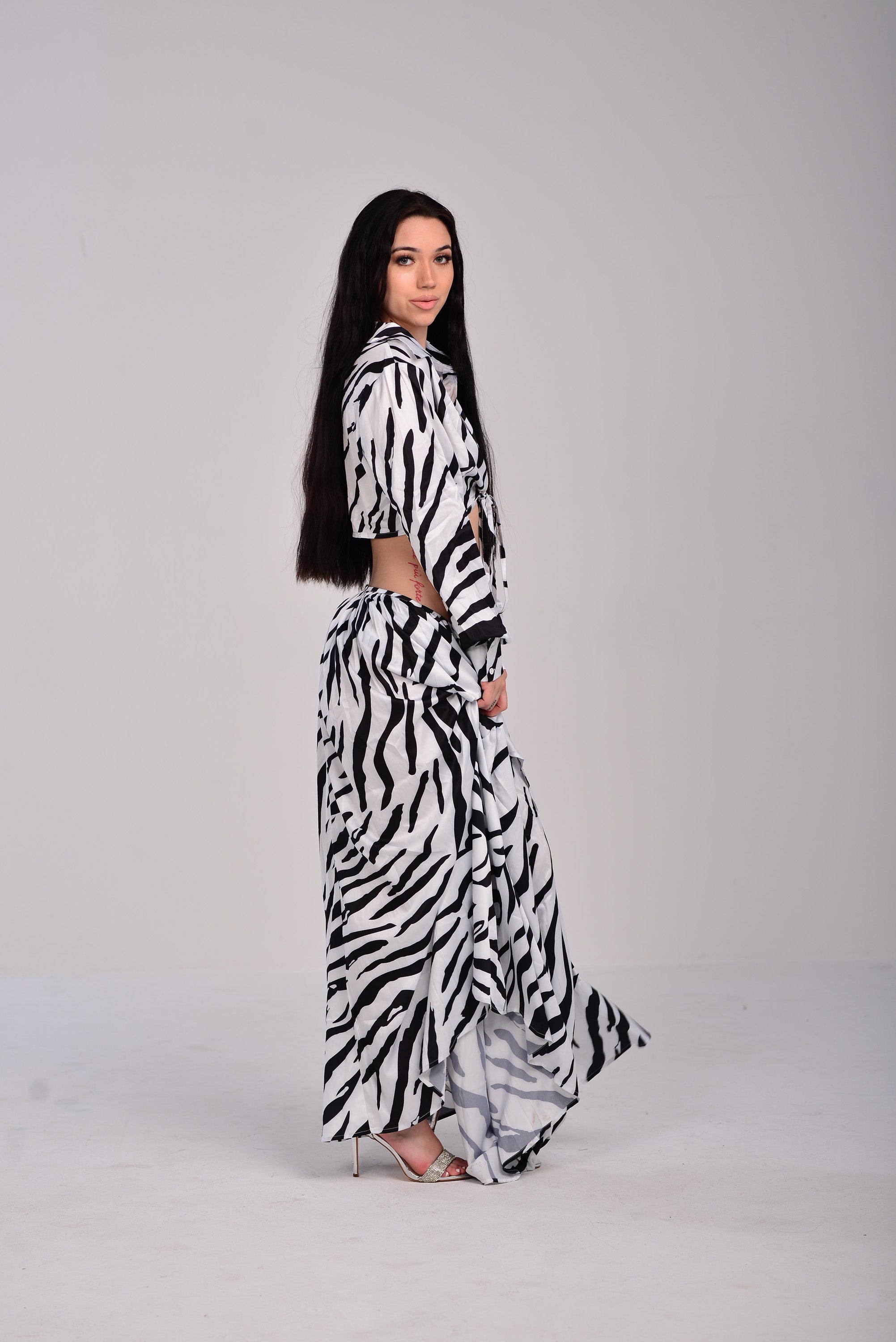 ZEBRA SET